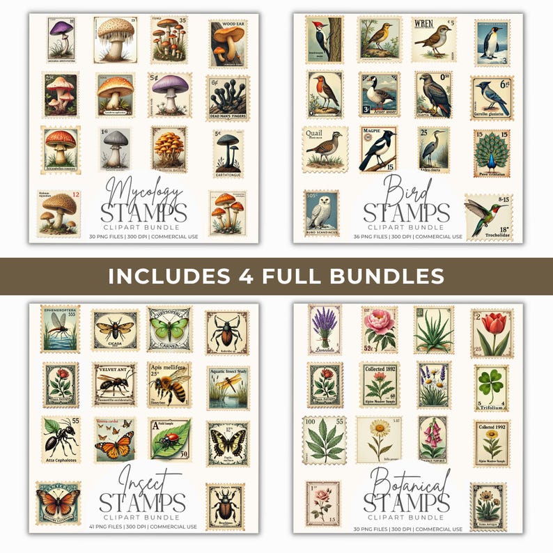 K&ouml;nnte beinhalten: Eine Sammlung von vier Stempel-Bundles mit botanischen, Insekten-, Vogel- und Mykologie-Themen. Jeder Stempel hat eine Vintage-&Auml;sthetik mit detaillierten Illustrationen von Pilzen, V&ouml;geln, Insekten und Pflanzen. Der Text enth&auml;lt "Mycology Stamps", "Bird Stamps", "Insect Stamps" und "Botanical Stamps".