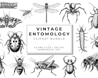 Vintage Entomology Clipart Bundle | Insect PNGs | Antique Bug Illustrations | Scientific Insect Ephemera | Junk Journal Graphics | Butterfly