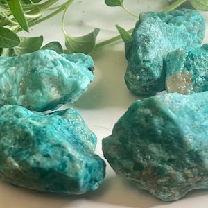 May include: Several rough-cut, turquoise-colored Amazonite stones. The stones have a textured surface and varying shades of blue-green. Green foliage is visible in the background.