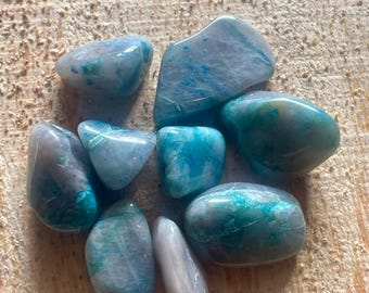 Könnte beinhalten: Eine Sammlung von acht getrommelten blauen und grünen Chrysopras-Steinen. Die Steine sind glatt und poliert und haben verschiedene Blautöne und Grüntöne.