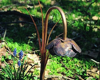 Solid Copper Pitcher Plant 1