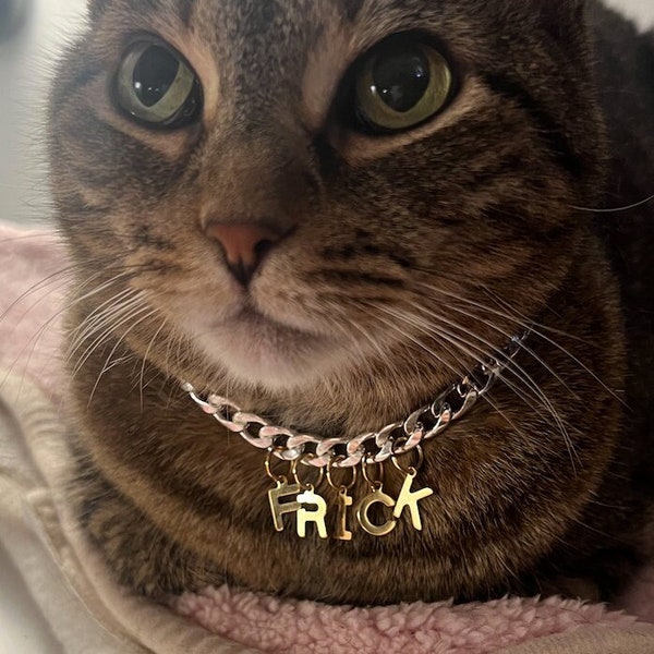 Pet Collar - FRICK - silver chain with gold letter - custom length - breakaway safety clasp