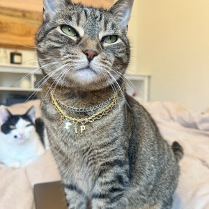 Chain Cat Collar Etsy