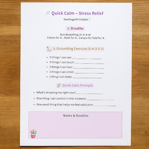 Op de afbeelding: Een witte printbare pagina met de tekst "Quick Calm - Stress Relief" en aanwijzingen voor stressbeheersing, waaronder ademhalingsoefeningen en aardingstechnieken. De pagina heeft een roze bloemenontwerp aan de onderkant.