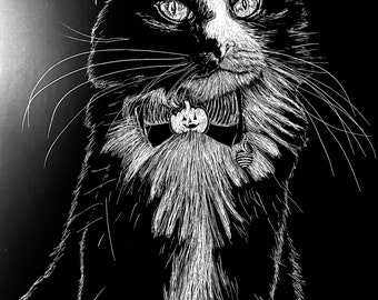 Tuxedo Cat Scratchboard print