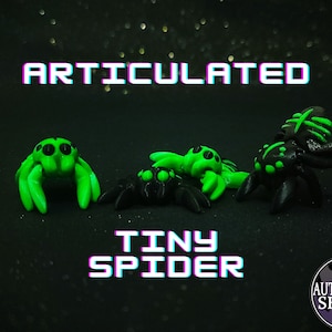 May include: Articulated Tiny Spider, a handmade toy with black and green painted details. The spider has eight legs and is posed in a crawling position. The text "ARTICULATED TINY SPIDER" is written in a pixelated font above the spiders.