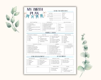Birth Preferences Template, Birth Plan Printable, Natural Birth Plan, Birth Plan Template, Birth Plan Editable, Birth Plan Canva, Blue