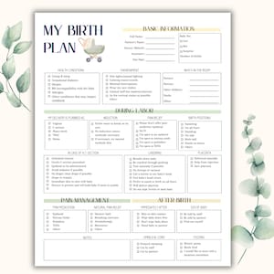 May include: layout of the birth plan template, which is designed to simplify the research and planning required for childbirth, allowing you to enjoy your pregnancy with peace of mind. The template is minimalistic, easy to fill out, and can be edited using the free Canva app on your desktop or mobile device. You can customize everything from text boxes and color options to design elements and graphics.