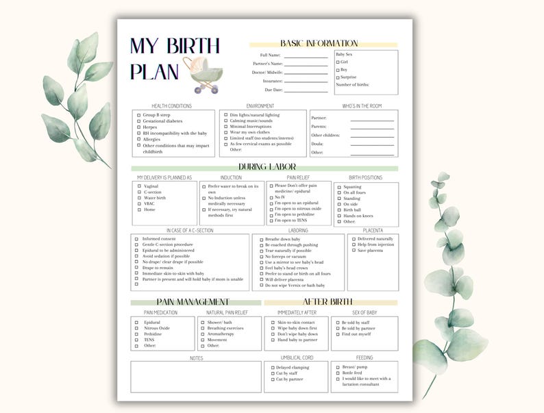 May include: layout of the birth plan template, which is designed to simplify the research and planning required for childbirth, allowing you to enjoy your pregnancy with peace of mind. The template is minimalistic, easy to fill out, and can be edited using the free Canva app on your desktop or mobile device. You can customize everything from text boxes and color options to design elements and graphics.