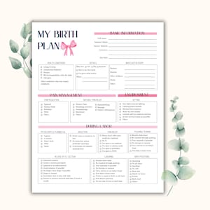 May include: A printable birth plan template with pink accents and a bow graphic. The document includes sections for health conditions, pain management, and environment preferences. It's designed to help expectant parents communicate their birthing wishes.