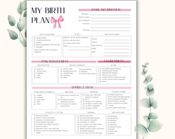 Plantilla rosa para plan de parto / Plan de parto editable en Canva / Planificador de embarazo / Plan de parto imprimible para el médico / Plan de parto para doula