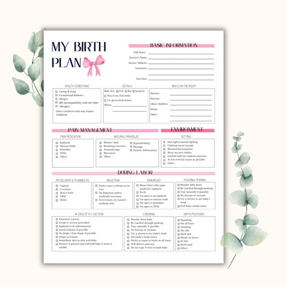 Pink Birth Plan Template | Canva Editable Birth Plan | Pregnancy Planner | Birthing Plan Printable for Doctor | Delivery Plan for Doula