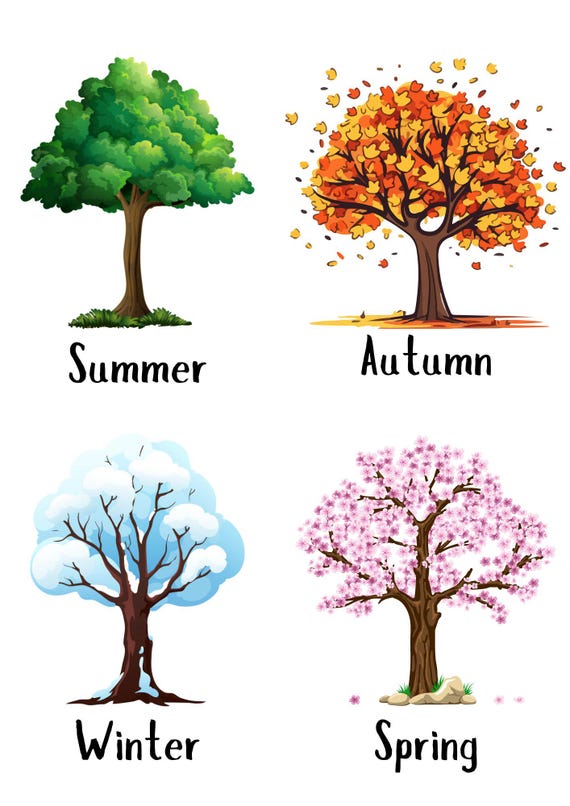 Seasons of the Year - Etsy