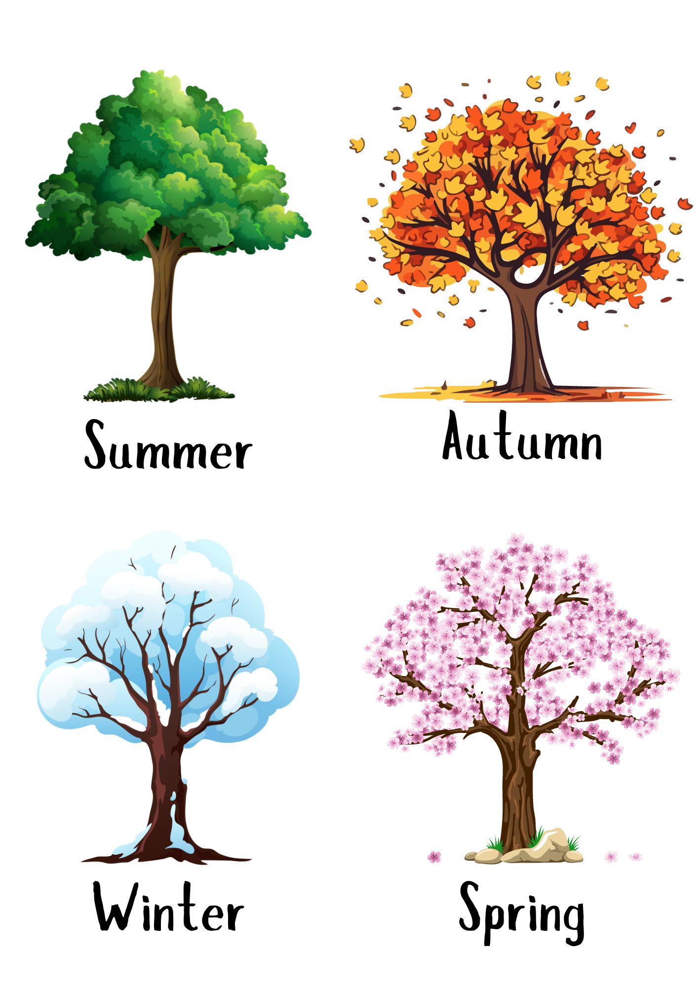 Seasons of the Year - Etsy