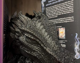 Large Book Nook Dragon
