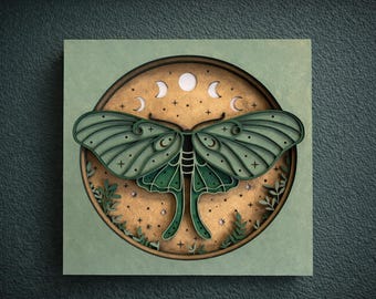 Luna Moth Box
