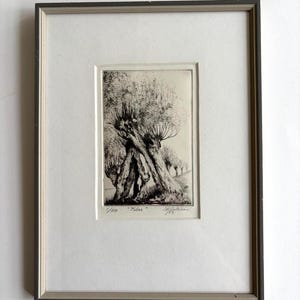 Puede incluir: Un grabado en blanco y negro de sauces nudosos, enmarcado. La impresión está numerada 1/50, titulada "Pilar" y firmada por el artista con el año 83. La obra está colocada en un paspartú color crema y un marco fino de tono oscuro.