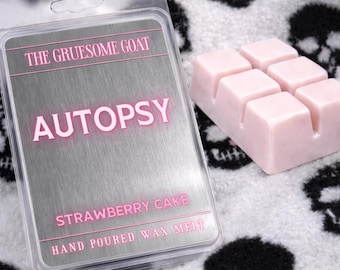 Strawberry Cake Wax Melts | Spooky Gothic Home Decor | Summerween Gift | Pastel Goth | Horror Wax Melts | Sweet Bakery Scents | Autopsy