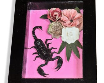 Taxidermy Scorpion | Vintage Faux Flowers | Shadow Box | Wall Decor | Gothic Home Decor | Pinned Insects | Oddities Curiosities | Handmade