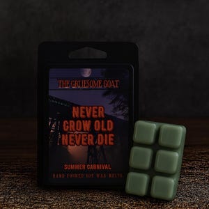 Summer Carnival Wax Melts | Fruity Wax Melts | Food Wax Melt | Spooky Wax Melts | Horror Movie Wax Melt | Never Grow Old Never Die