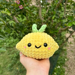 Crochet fruits!