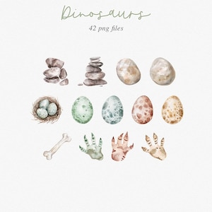 Akvarell dinosaurie clipart-paket: Dinosauriefestdekor (PNG) bild 5