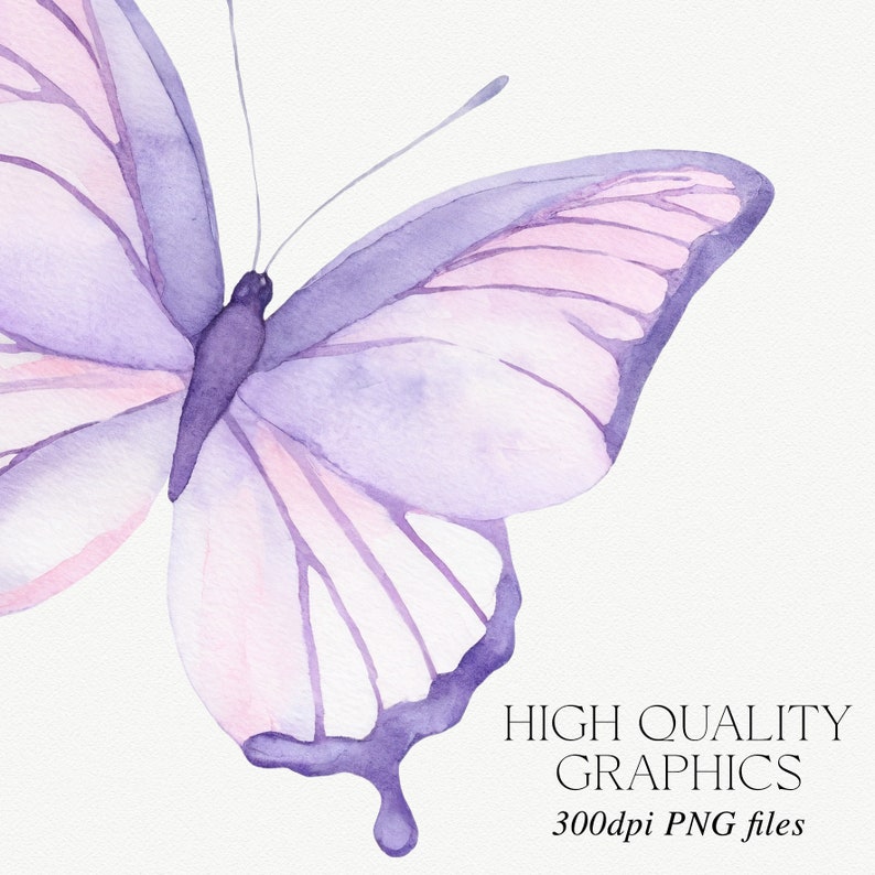 May include: A watercolor painting of a purple butterfly with pink accents. The butterfly is in flight with its wings spread wide. The background is white.