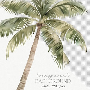 Akvarell dinosaurie clipart-paket: Dinosauriefestdekor (PNG) bild 6