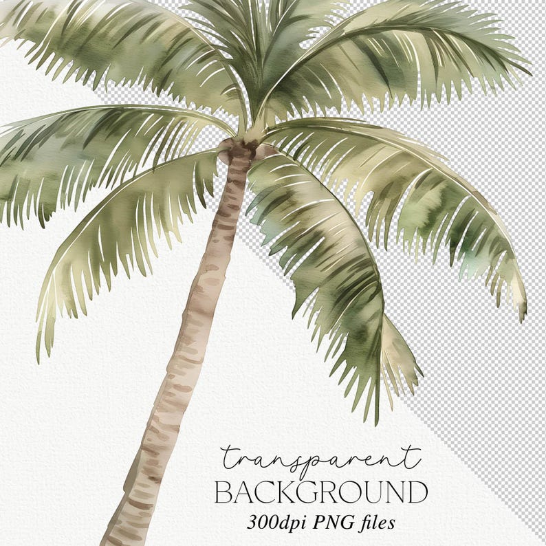Akvarell dinosaurie clipart-paket: Dinosauriefestdekor (PNG) bild 6