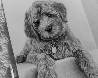 Pet portrait from photo, Personalized portraits for Dogs and Cats, Custom pencil drawing, Hand drawn pets, Pet memorial gift