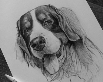写真から描いた犬の鉛筆画 - 100%手描き。 - Etsy 日本