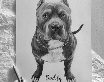 Custom Pet Portrait Drawing, Personalized Cat and Dog Portraits, Hand painted from Photo, Hand Drawn Pets, Animal Lover Gifts, Pet Loss