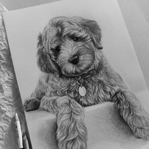 Pet portrait from photo, Personalized portraits for Dogs and Cats, Custom pencil drawing, Hand drawn pets, Pet memorial gift