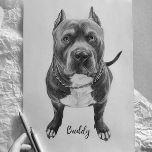 I present to your attention samples of pet portraits. To draw these portraits, I used graphite pencils, paper, and photo of the animal. 100% hand drawn! I will happy to draw a portrait of your pet to order!