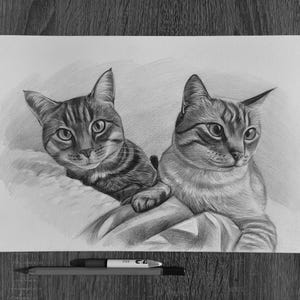 Cat portrait