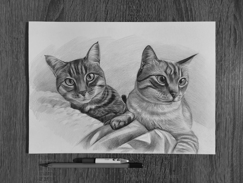 Cat portrait