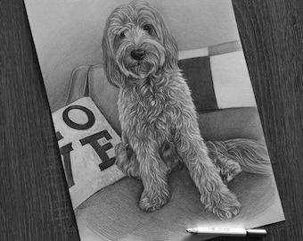 May include: A graphite pencil drawing on paper depicting a shaggy-haired dog sitting on a sofa next to a pillow with the letters LOVE visible. Two graphite pencils are placed horizontally across the bottom edge of the drawing paper.