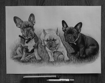 Custom Pet Portrait from photo: Hand-Drawn Graphite Pencil Sketch for pet lovers