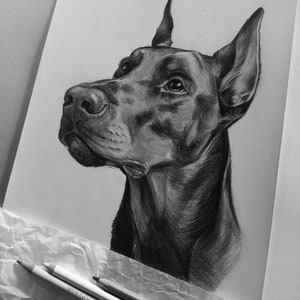 May include: A detailed graphite pencil drawing of a Doberman Pinscher dog head in profile, rendered in shades of black, gray, and white. Two pencils labeled Van Gogh are positioned at the bottom of the white paper sheet.