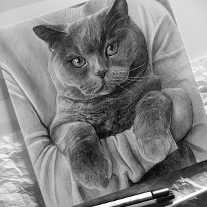 May include: A graphite pencil drawing on paper depicting a cat with rounded ears and wide eyes. The cat is shown from the chest up, with its front paws resting forward. The shading creates a realistic texture for the fur, and the drawing is positioned on a surface with two pencils placed at the bottom edge.