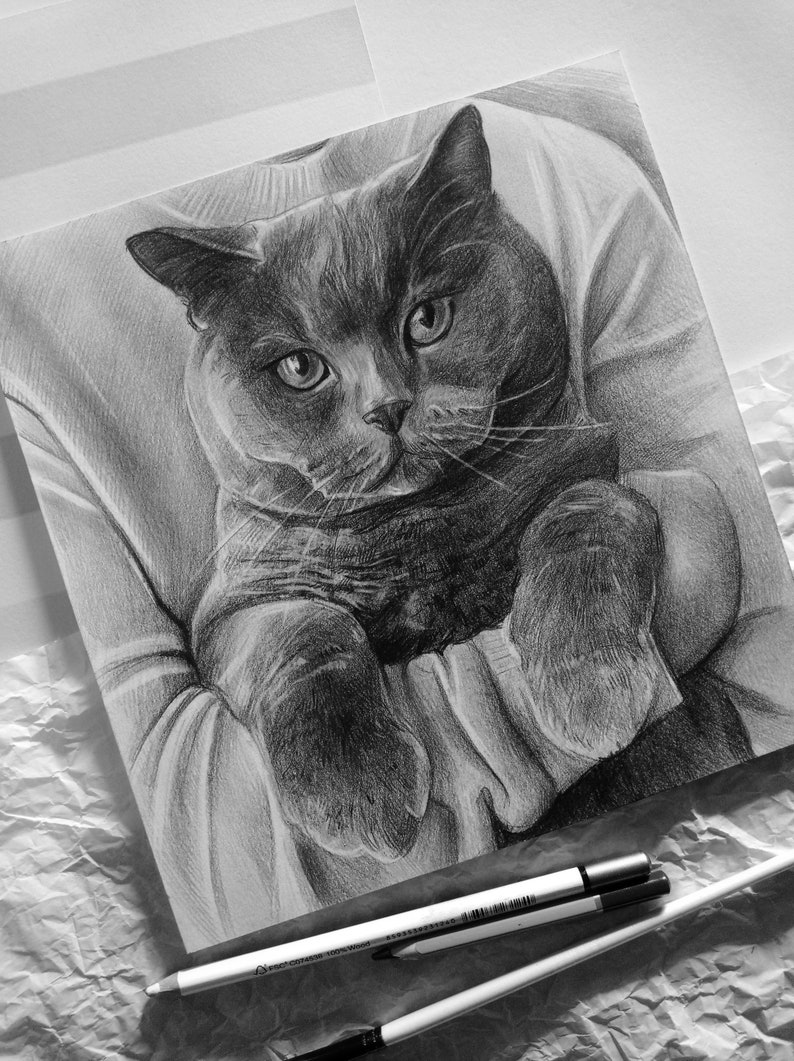 Aangepaste huisdierportret tekenen, gepersonaliseerde katten en hondenportretten, met de hand geschilderd van foto, handgetekende huisdieren, dierenvriendgeschenken, huisdierverlies afbeelding 9