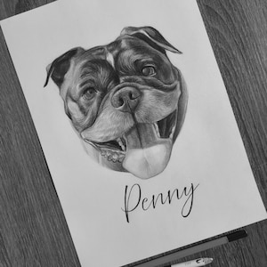 May include: A black and white graphite pencil drawing on white paper featuring a detailed portrait of a dog with its tongue hanging out. Below the dog's head, the name Penny is written in elegant cursive script. A drawing pencil lies below.