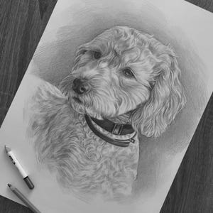 May include: A graphite pencil drawing on white paper depicting a curly-haired dog wearing a collar. The portrait captures the dog's head and shoulders with detailed shading, positioned next to two drawing pencils on the paper surface.