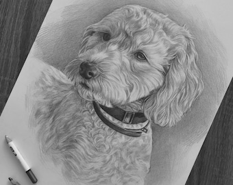 Pet Portrait from photo, Personalized portraits for Dogs and Cats, Custom pencil drawing, Hand drawn pets, Pet memorial gift