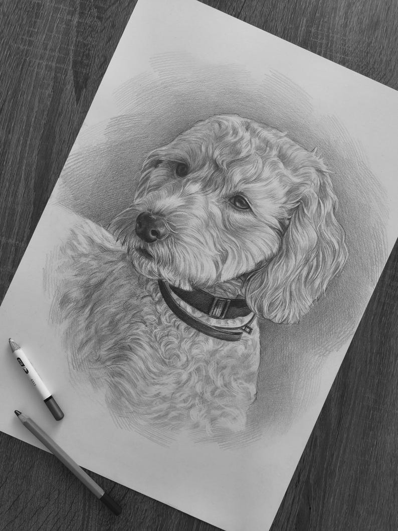 May include: A graphite pencil drawing on white paper depicting a curly-haired dog wearing a collar. The portrait captures the dog's head and shoulders with detailed shading, positioned next to two drawing pencils on the paper surface.