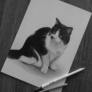 May include: A black and white graphite drawing of a cat on a rectangular sheet of paper, positioned next to two drawing pencils. The cat is depicted in a seated pose, looking toward the right, with detailed fur shading and distinct facial features.