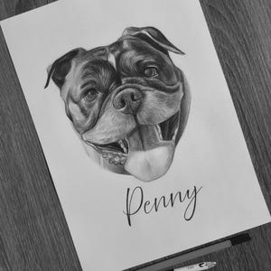 May include: A black and white graphite pencil drawing on white paper featuring a detailed portrait of a dog with its tongue hanging out. The name Penny is written in elegant cursive script below the dog's head. Two drawing pencils lie below.
