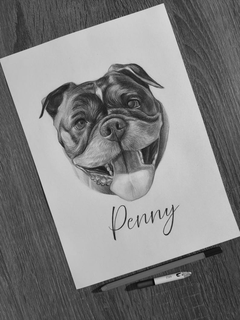 May include: A black and white graphite pencil drawing on white paper featuring a detailed portrait of a dog with its tongue hanging out. The name Penny is written in elegant cursive script below the dog's head. Two drawing pencils lie below.