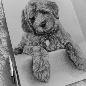Custom dog drawing