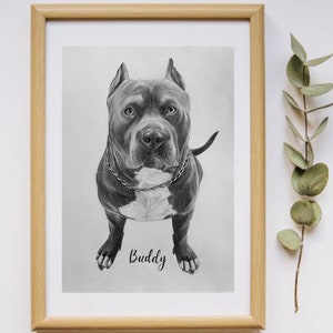 Aangepaste huisdierportret tekenen, gepersonaliseerde katten en hondenportretten, met de hand geschilderd van foto, handgetekende huisdieren, dierenvriendgeschenken, huisdierverlies afbeelding 7